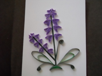 lavendarflower